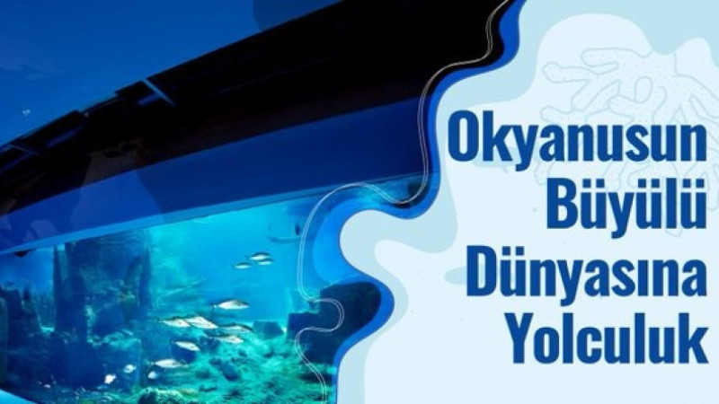 Sömestr tatil hediyesi: Akvaryum gezisi